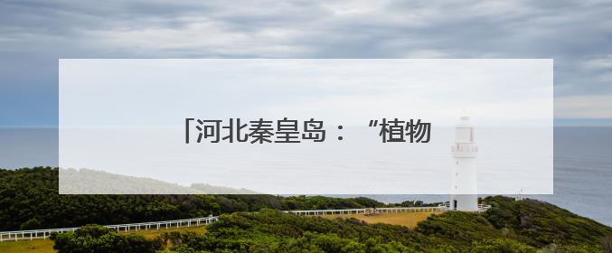 河北秦皇岛：“植物活化石”天女花绽放
