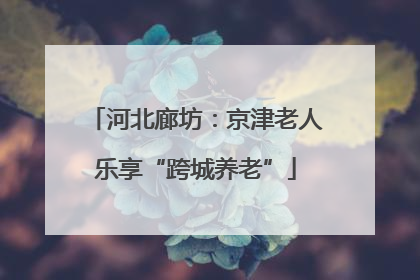 河北廊坊：京津老人乐享“跨城养老”