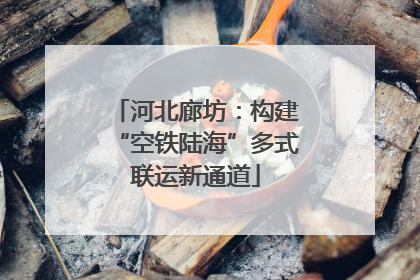 河北廊坊：构建“空铁陆海”多式联运新通道