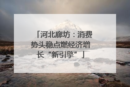 河北廊坊：消费势头稳点燃经济增长“新引擎”