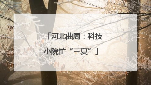 河北曲周：科技小院忙“三夏”