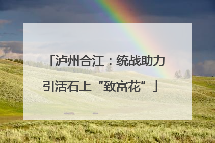 泸州合江：统战助力引活石上“致富花”