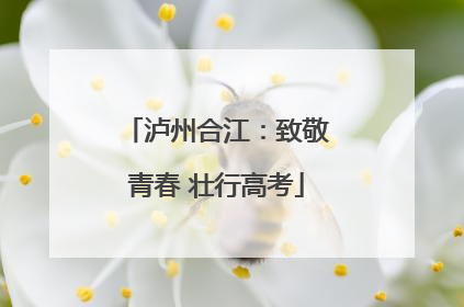 泸州合江：致敬青春 壮行高考
