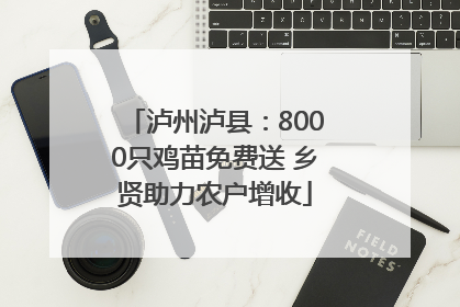 泸州泸县：8000只鸡苗免费送 乡贤助力农户增收