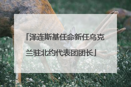 泽连斯基任命新任乌克兰驻北约代表团团长