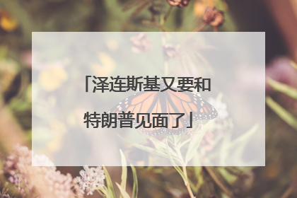 泽连斯基又要和特朗普见面了