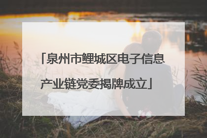 泉州市鲤城区电子信息产业链党委揭牌成立