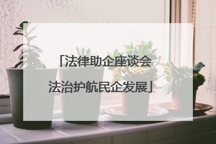 法律助企座谈会 法治护航民企发展