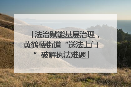法治赋能基层治理，黄鹤楼街道“送法上门”破解执法难题
