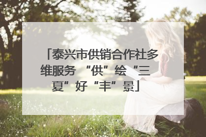 泰兴市供销合作社多维服务 “供”绘“三夏”好“丰”景
