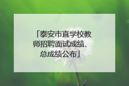 泰安市直学校教师招聘面试成绩、总成绩公布