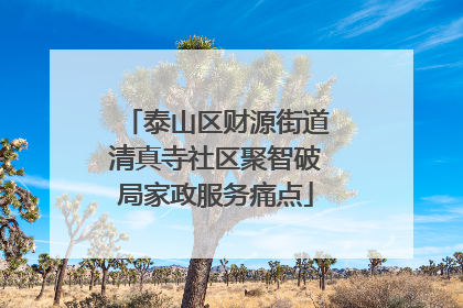 泰山区财源街道清真寺社区聚智破局家政服务痛点