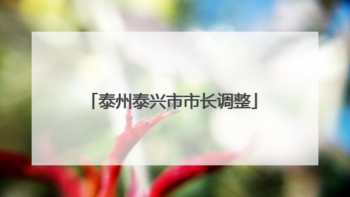 泰州泰兴市市长调整