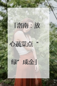 洛南：放心蔬菜点“绿”成金