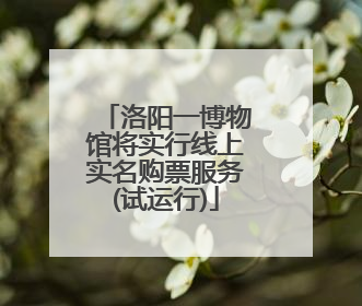 洛阳一博物馆将实行线上实名购票服务(试运行)