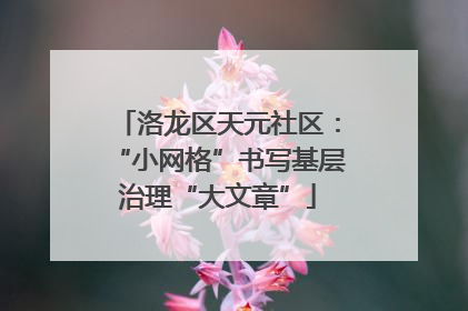 洛龙区天元社区：“小网格”书写基层治理“大文章”