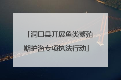 洞口县开展鱼类繁殖期护渔专项执法行动