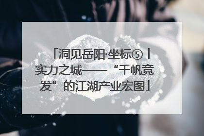 洞见岳阳·坐标⑤丨实力之城——“千帆竞发”的江湖产业宏图