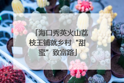 海口秀英火山荔枝王铺就乡村“甜蜜”致富路