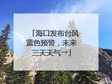 海口发布台风蓝色预警，未来三天天气→