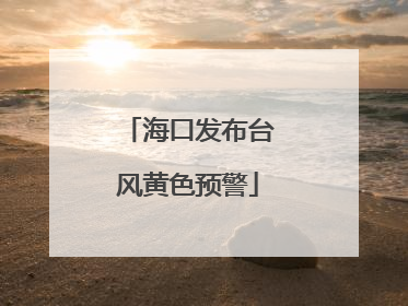 海口发布台风黄色预警