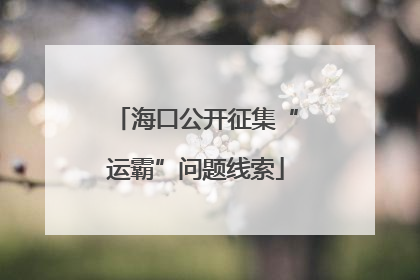 海口公开征集“运霸”问题线索