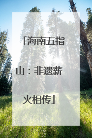 海南五指山：非遗薪火相传