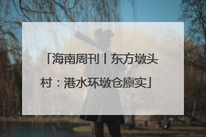海南周刊丨东方墩头村：港水环墩仓廪实
