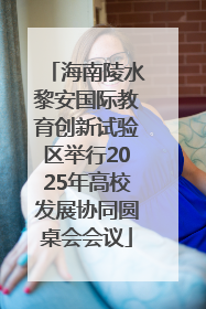 海南陵水黎安国际教育创新试验区举行2025年高校发展协同圆桌会会议