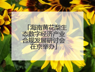 海南黄花梨生态数字经济产业合规发展研讨会在京举办