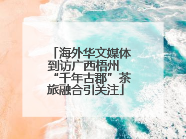 海外华文媒体到访广西梧州 “千年古郡”茶旅融合引关注