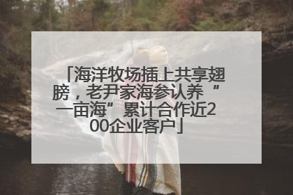海洋牧场插上共享翅膀，老尹家海参认养“一亩海”累计合作近200企业客户