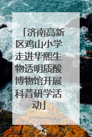 济南高新区鸡山小学走进华熙生物透明质酸博物馆开展科普研学活动