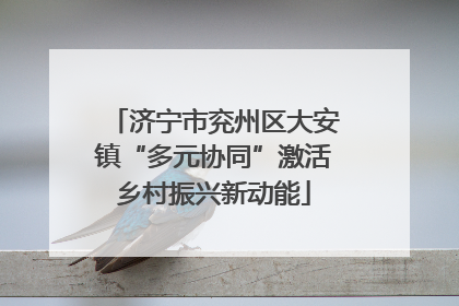 济宁市兖州区大安镇“多元协同”激活乡村振兴新动能