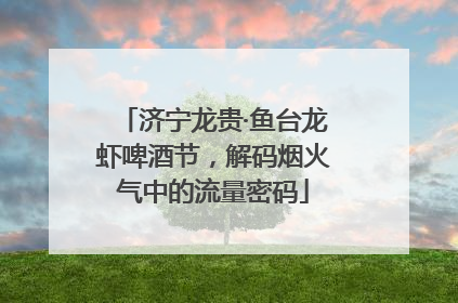 济宁龙贵·鱼台龙虾啤酒节，解码烟火气中的流量密码