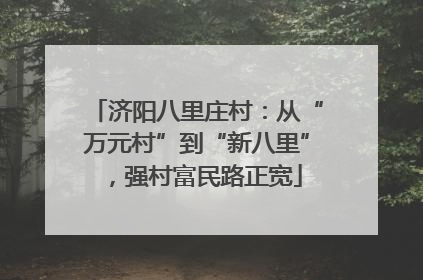 济阳八里庄村：从“万元村”到“新八里”，强村富民路正宽
