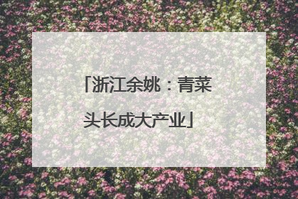 浙江余姚：青菜头长成大产业
