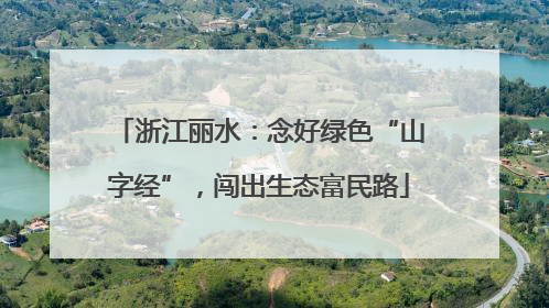 浙江丽水：念好绿色“山字经”，闯出生态富民路