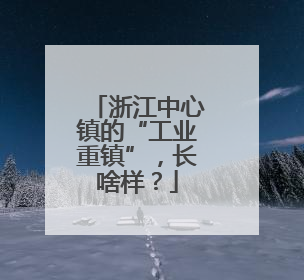 浙江中心镇的“工业重镇”，长啥样？