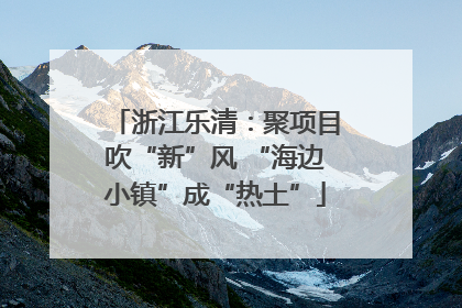 浙江乐清：聚项目吹“新”风 “海边小镇”成“热土”