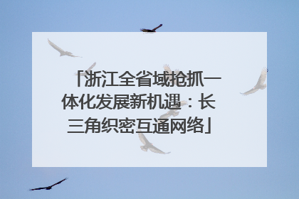 浙江全省域抢抓一体化发展新机遇：长三角织密互通网络