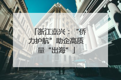 浙江嘉兴：“侨力护航”助企高质量“出海”