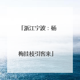 浙江宁波：杨梅挂枝引客来