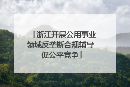 浙江开展公用事业领域反垄断合规辅导 促公平竞争