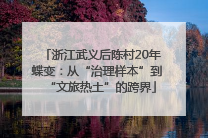 浙江武义后陈村20年蝶变：从“治理样本”到“文旅热土”的跨界
