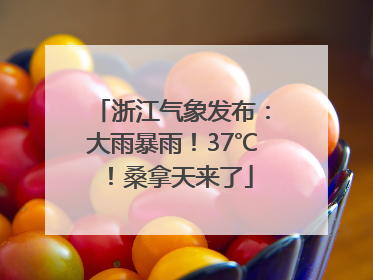 浙江气象发布：大雨暴雨！37℃！桑拿天来了