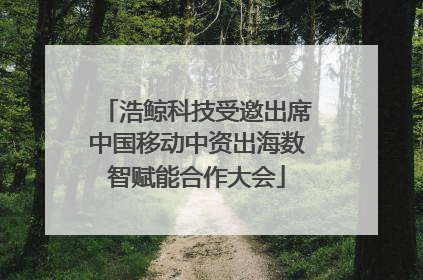 浩鲸科技受邀出席中国移动中资出海数智赋能合作大会