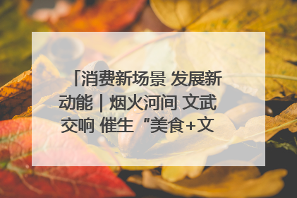 消费新场景 发展新动能｜烟火河间 文武交响 催生“美食+文化”消费新场景