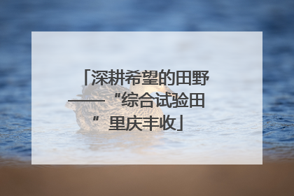 深耕希望的田野——“综合试验田”里庆丰收