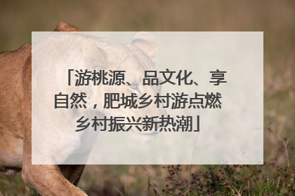 游桃源、品文化、享自然，肥城乡村游点燃乡村振兴新热潮